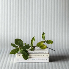 Minimum Braid 3 - 106 cm bred rulle